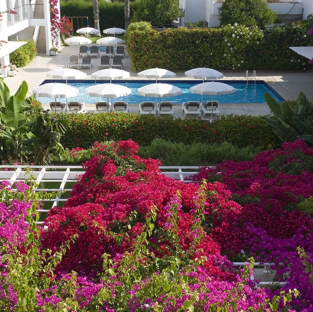 Nissi Park Hotel Ayia Napa 3*,